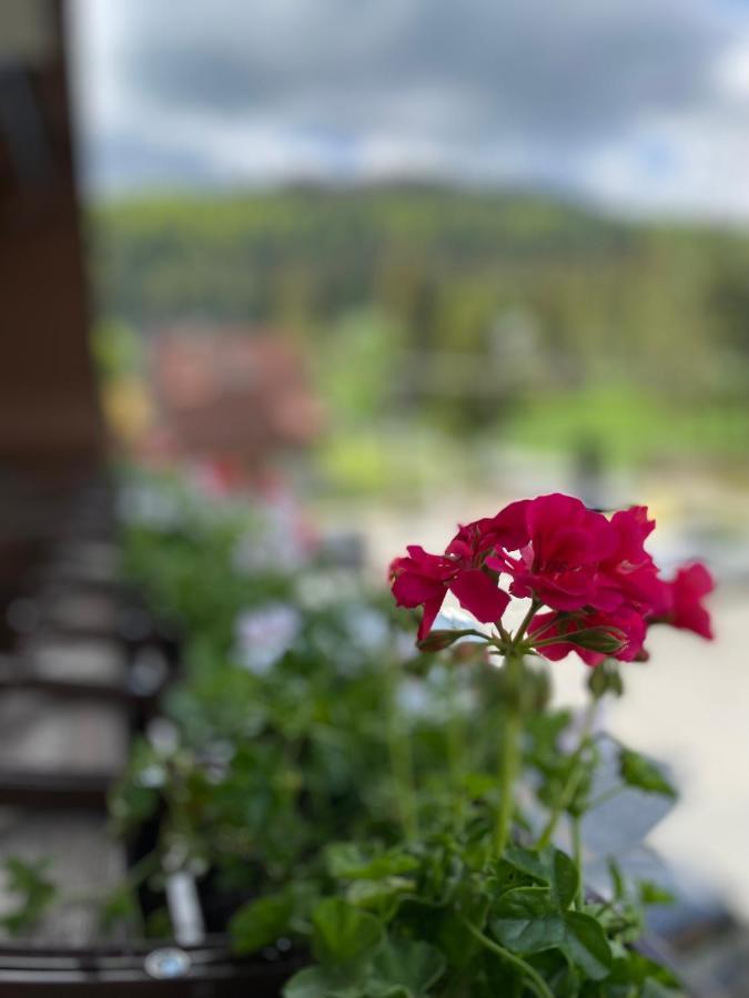 Nosal & Wine Hotel 3*