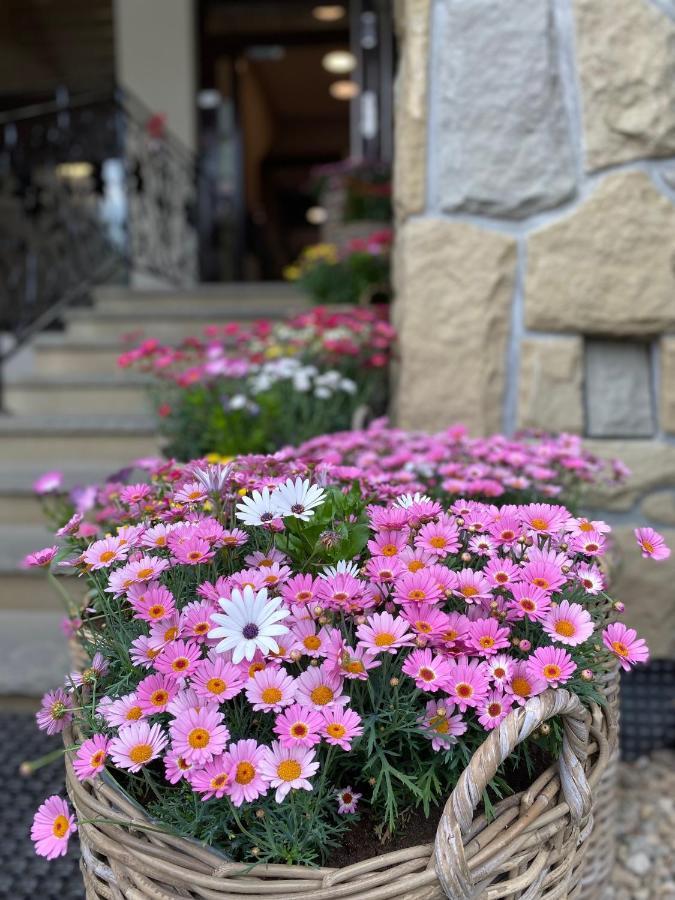 Hotel Nosal & Wine Zakopane